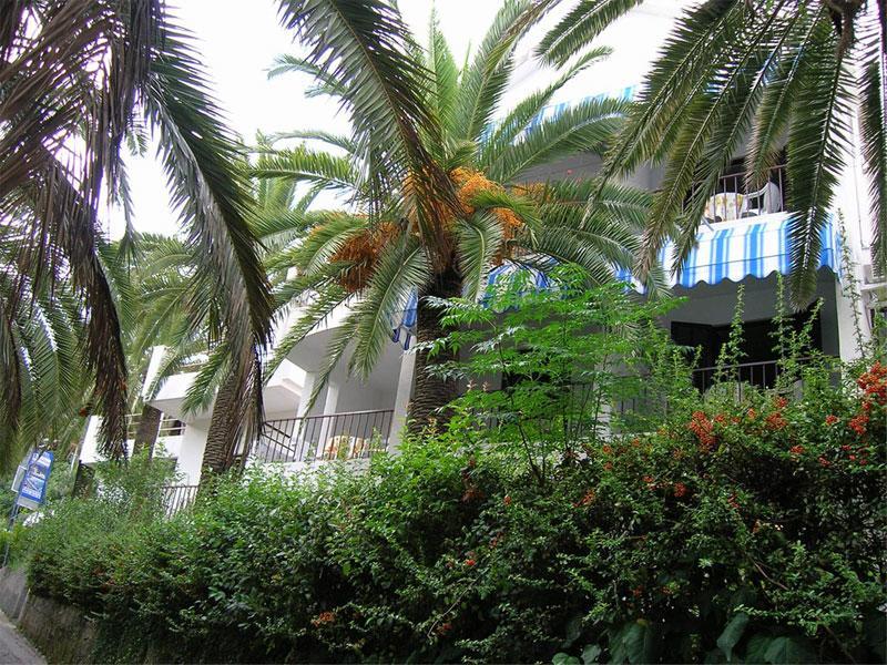 Apartmani I Sobe Goca Herceg Novi Exterior foto
