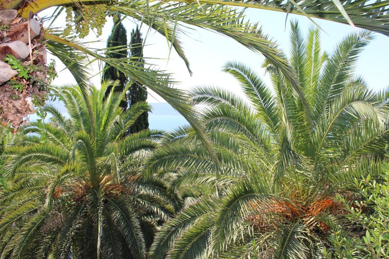 Apartmani I Sobe Goca Herceg Novi Exterior foto